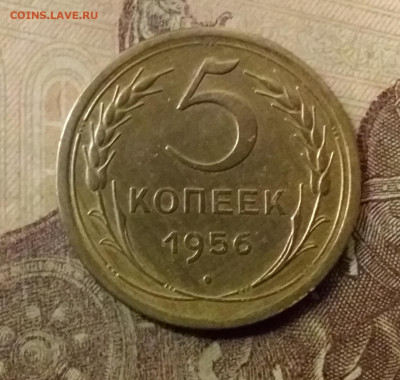 5 копеек 1956. До 23.10.21 в 22.00 - 20211018_234135