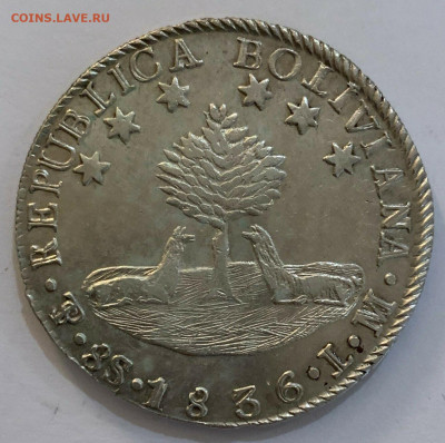 Боливия 8 суэльдо соль 1836 Серебро Крона Шайба - s-l1600