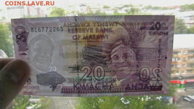 Малави 20 квача UNC до 22,10,21 по МСК 22-00 - IMGA0350.JPG