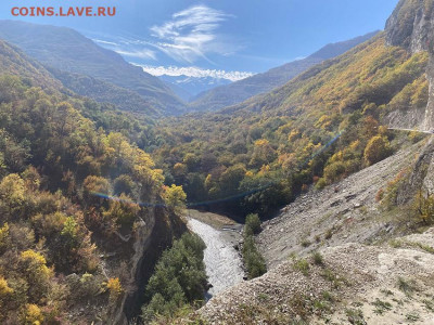 Собираю номерные знаки - IMG_62571