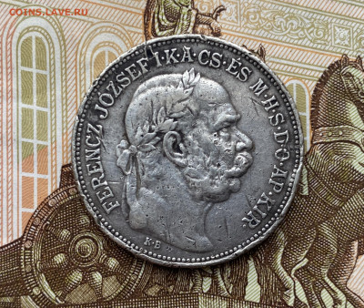 2 кроны 1914 г. Австро-Венгрия до 27.10.2021 - IMG_7655