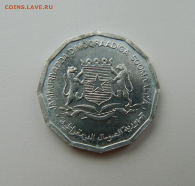 Сомали 10 центов 1976 г. (Фауна)  до 25.10.21 - DSCN1195.JPG