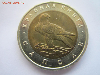 кк Сапсан 50 руб 1994 до 24.10.21 в 22:30 - IMG_9448.JPG
