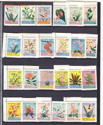 Малуку Селатам цветы 24м**** до 29 10 - 25