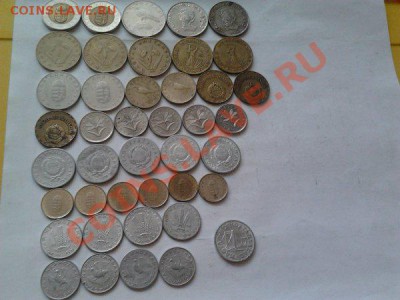 Монеты разных стран и номиналов (пополняемая). - 114 венгрия.