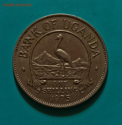 Уганда 1 шиллинг 1975г до 29.10.21 - IMG_20211021_141631