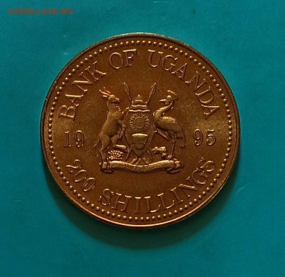 Уганда 200 шиллингов 1995г (юбилейка) до 29.10.21 - IMG_20211021_141408