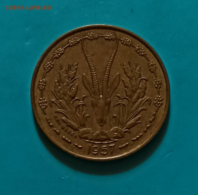 Фран.зап.африка 10 франков 1957г до 29.10.21 - IMG_20211021_141755