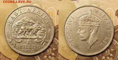 1 шиллинг 1952 Британская Восточная Африка 24.10.2021 22:00 - britanskaja_vostochnaja_afrika_1_shilling_1952