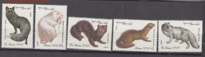 СССР 1980 пушные звери 5м до 30 10 - 80и