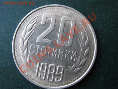 Разная инострань I - IMG_3106