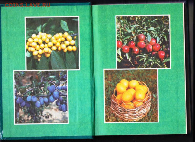 НАСТОЛЬНАЯ КНИГА садоводам 1992 г.  до 01.11.20 в 23.00 - 045