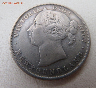 Ньюфаундленд, 20 центов	1900 до 20-00 01.11. - 1.JPG