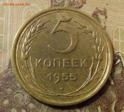 5 копеек 1955. До 31.10.21 в 22.00 - 20211028_001928