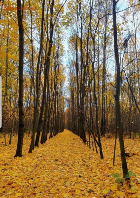 делает - прямо сейчас !!! - Screenshot_20211029-115404_Instagram