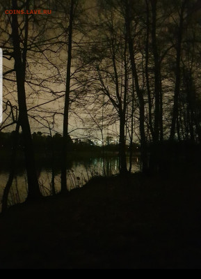 ФОТО - просто фото. Те что получились удачными. - Screenshot_20211030-071329_Gallery
