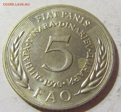 5 динар 1970 ФАО Югославия №1 05.11.21 22:00 М - CIMG3543.JPG