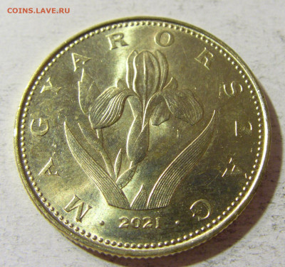 20 форинтов 2021 Венгрия №1 05.11.21 22:00 М - CIMG3885.JPG
