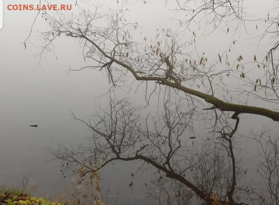 ФОТО - просто фото. Те что получились удачными. - Screenshot_20211102-093923_Gallery