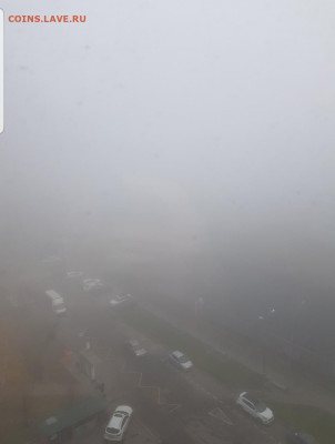 делает - прямо сейчас !!! - Screenshot_20211102-095617_Gallery