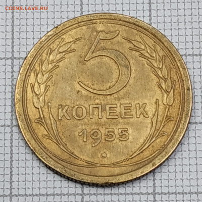 5 копеек 1955г. До 06.11.21 в 22.00 по Мск - IMG_20211102_180534