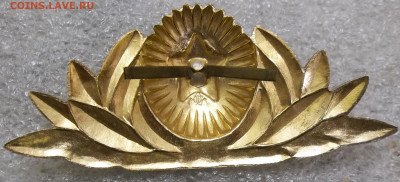 Значки по фикс. цене 10-50 руб. 04.11.21. 22:00 МСК - 100_3484.JPG