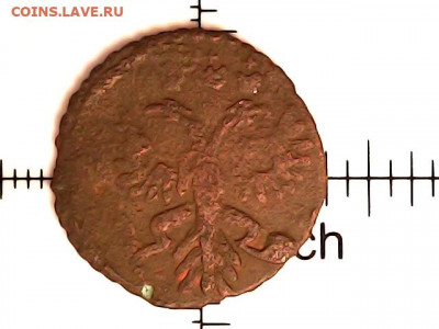 Полушка. и 20 коп 1912 г. - 20211103_1927_006_0.000
