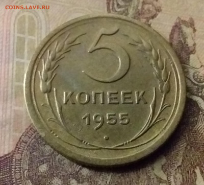 5 копеек 1955. До 9.11.21 в 22.00 - 20211104_225940