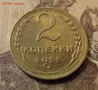 2 копейки 1955. До 9.11.21 в 22.00 - 20211105_233958