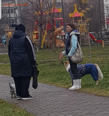 делает - прямо сейчас !!! - Screenshot_20211105-143720_Gallery