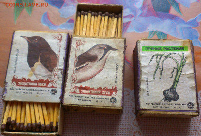 Куплю спичечные коробки: старые и современные. Предлагайте. - IMAG2442_1