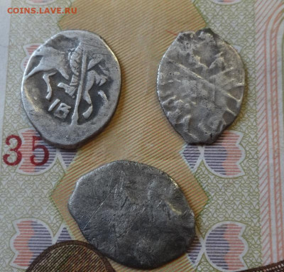 Чешуйки 3 шт до 09.11.21 - 3214