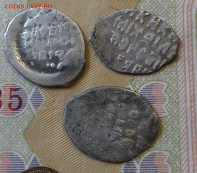 Чешуйки 3 шт до 09.11.21 - 12343