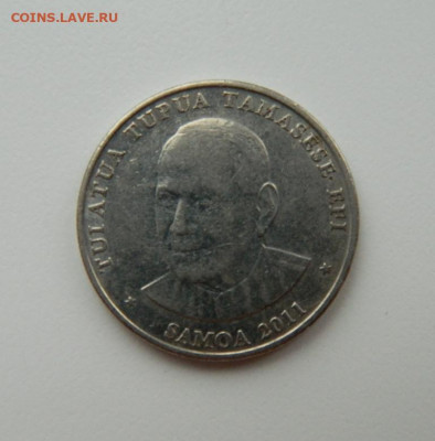 Самоа 50 сене 2011 г. (Фауна) до 11.11.21 - DSCN1493.JPG