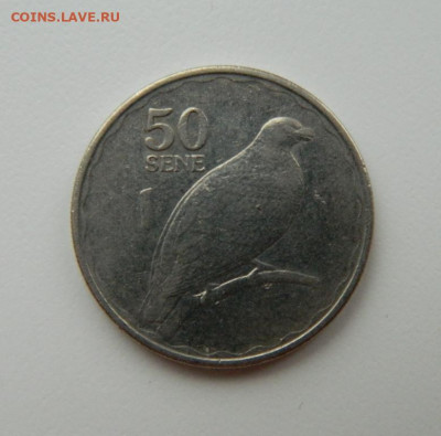 Самоа 50 сене 2011 г. (Фауна) до 11.11.21 - DSCN1494.JPG
