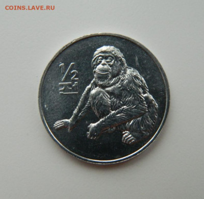 2 чона 2002 г.(Юбилейная) Фауна до 11.11.21 - DSCN1469.JPG