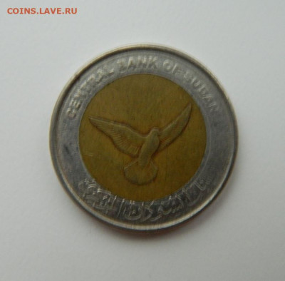 Судан 50 пиастров 2006 г. (БИМ) Фауна до 11.11.21 - DSCN1472.JPG