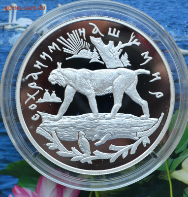 25 рублей СНМ Рысь - DSC_0001.JPG