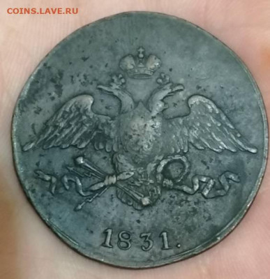 5 копеек 1831 см . - IMG_20211106_182245