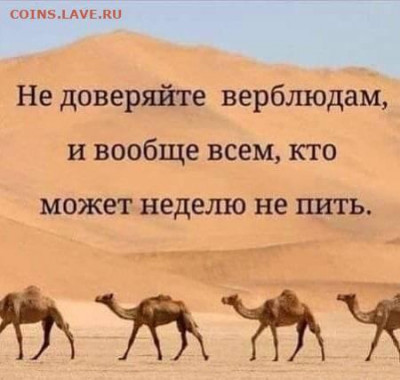 юмор - 0 a 38 yy521