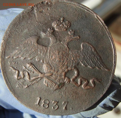 пятак 1837 см с нагрузкой - 2.4