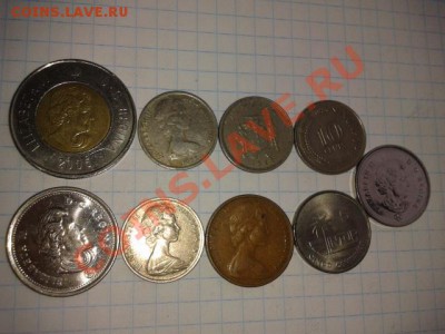 ФАУНА 1 до 6.11.11 в 21.30 - 2011-11-01 12.36.14