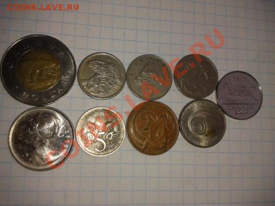 ФАУНА 1 до 6.11.11 в 21.30 - 2011-11-01 12.35.34