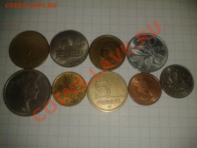 ПТИЧКИ до 6.11.11 в 21.30 - 2011-11-01 15.21.53