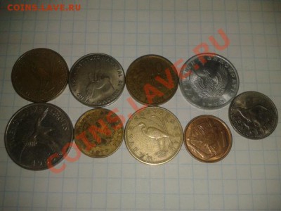 ПТИЧКИ до 6.11.11 в 21.30 - 2011-11-01 15.21.13