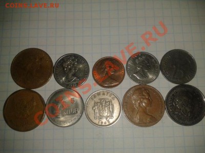 ФАУНА 2  до 6.11.11 в 21.30 - 2011-11-01 15.53.24