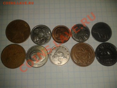 ФАУНА 2  до 6.11.11 в 21.30 - 2011-11-01 15.52.38