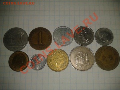ФЛОРА 2  до 6.11.11 в 21.30 - 2011-11-01 16.12.38