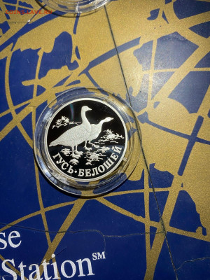 1 руб. Красная книга Гусь Белошей, 1998 до 14.11 - aa3fjT1B6ag