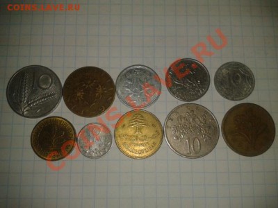 ФЛОРА 2  до 6.11.11 в 21.30 - 2011-11-01 16.11.49